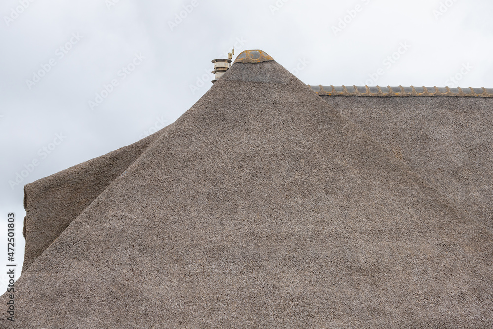 Traditional countryside houses with reed roof with shimmy under white grey cloudy sky, Thatching is the craft of building a roof with dry vegetation such as water reed. - obrazy, fototapety, plakaty 