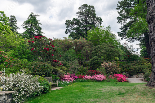 Garden with blooming trees during spring time