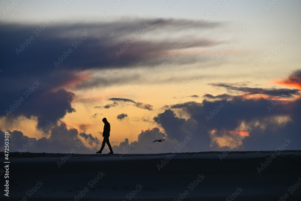 Silhouetted Man Walks along Venice Beach at Sunset