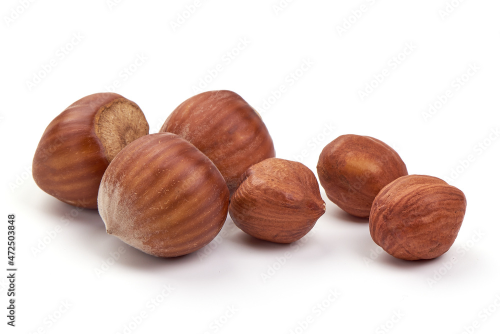 Hazelnut. Fresh organic filbert nut, isolated on white background Hazelnut. Fresh organic filbert nut, isolated on white background