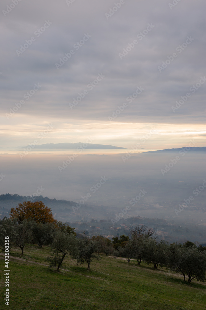 Mist and fog between valley, mountains and hills, in Umbria Italy, with trees on the foreground