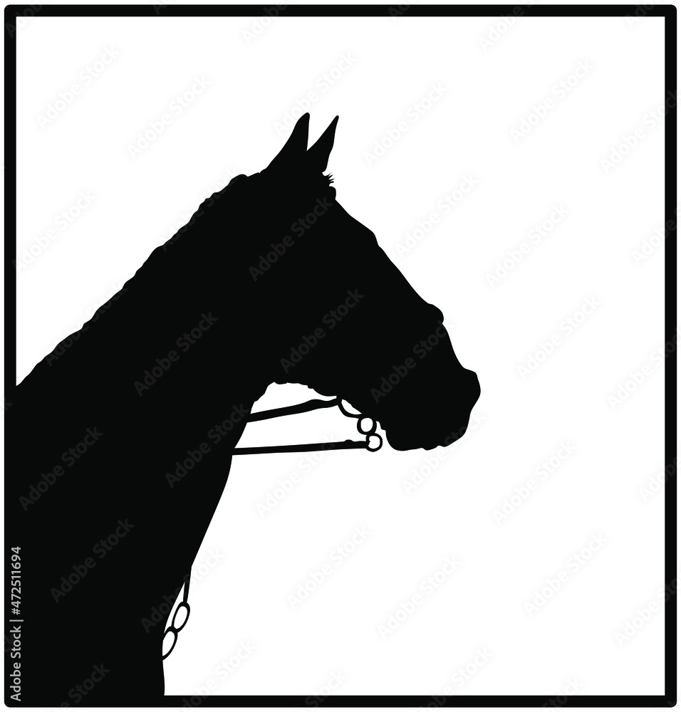 Elegant racing horse head portrait vector silhouette illustration isolated on white background. Hippodrome sport event. Equestrian riding horse for jumping over barrier. Beautiful farm animal head.