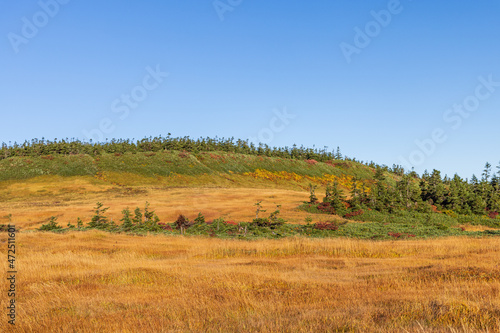 Towada Hachimantai National Park in Autumn