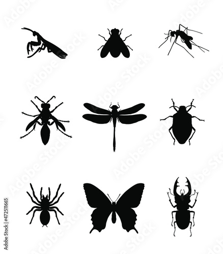 Set of insect vector silhouette illustration isolated on white. Praying mantis. Housefly. Mosquito. Wasp axis or honey bee symbol. Dragonfly. Stink bug beetle. Tarantula spider. Butterfly. Stag beetle