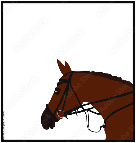 Elegant racing horse head portrait vector illustration isolated on white background. Hippodrome sport event. Equestrian riding horse for jumping over barrier show. Beautiful farm animal head.