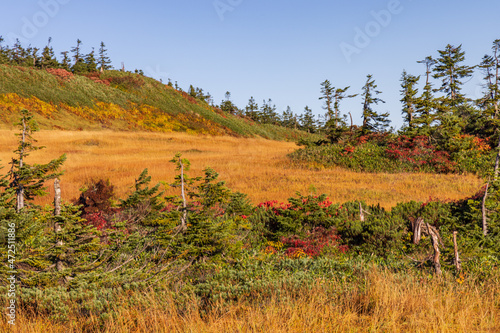 Towada Hachimantai National Park in Autumn