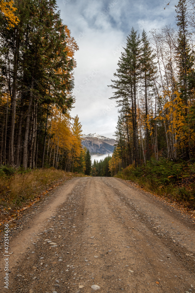road in autumn forest in British Columbia, Canada