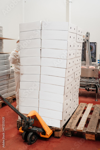 Manual pallet truck with carton boxes .Fork pallet truck with cardboard boxes in a warehouse.Distribution Center.Puts Cardboard Box . photo