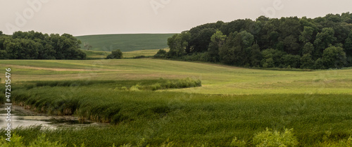 Contoured field and wetland  photo
