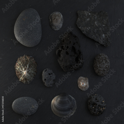 Flat lay arrangements of pebbles and limpet shells collected on beaches of Gran Canaria, 
on black slate board
