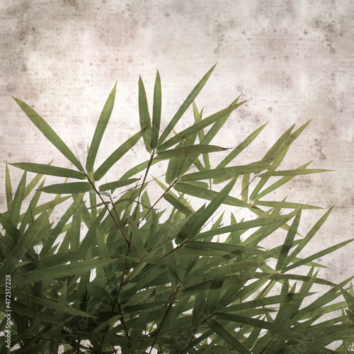 stylish textured old paper background with bamboo branches photo