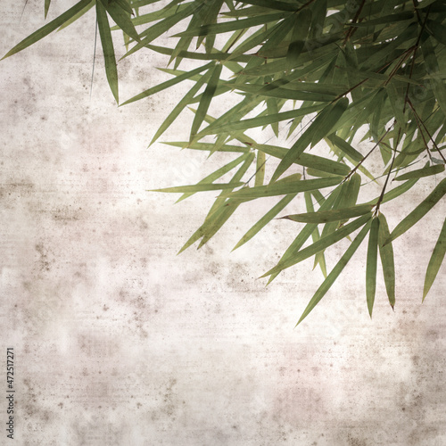 stylish textured old paper background with bamboo branches