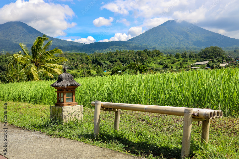 bench made of bamboo in a rice field and an shrine