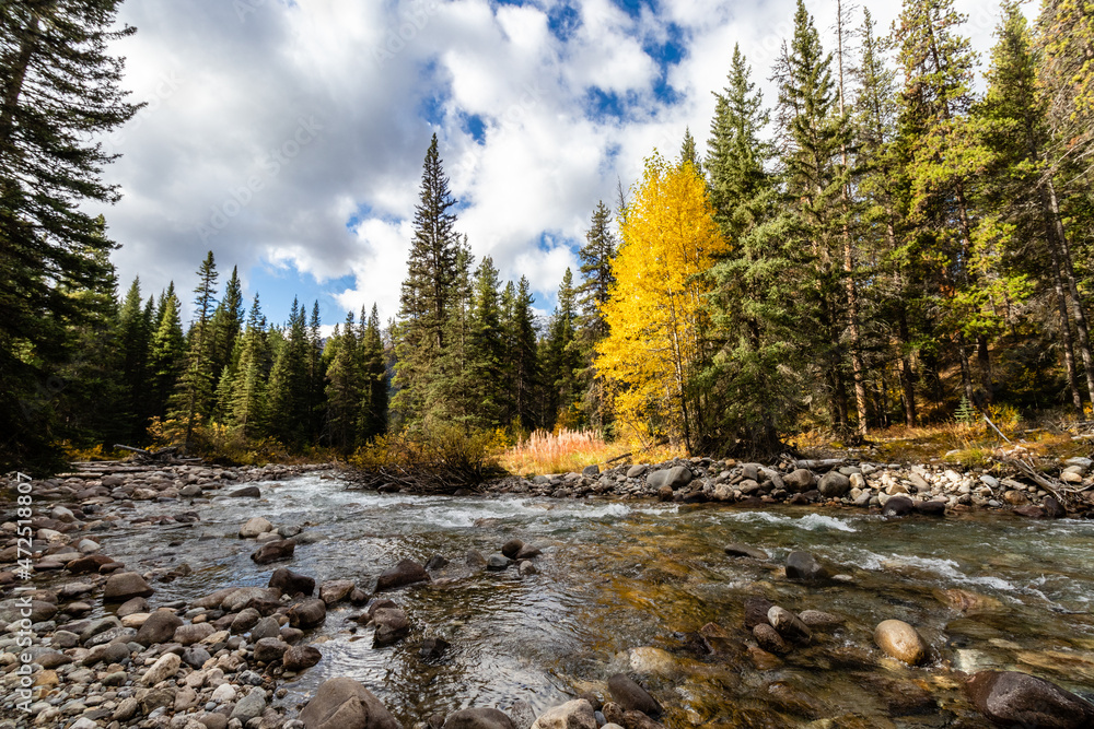 Baker Creek on the Bow Valley Parkway in Banff National Park, Alberta, Canada Baker Creek on the Bow Valley Parkway in Banff National Park, Alberta, Canada