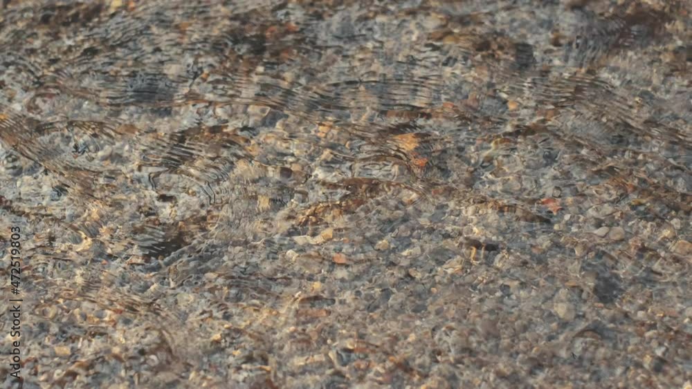 4k close up of water in forest 4k close up of water in forest