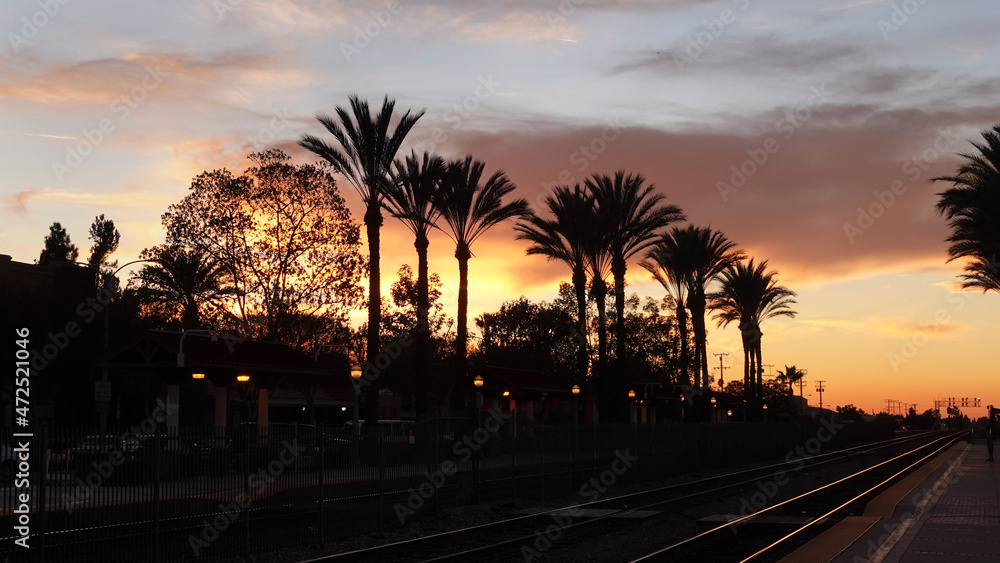 Obraz premium Colorful sunset behind palm trees at the train station