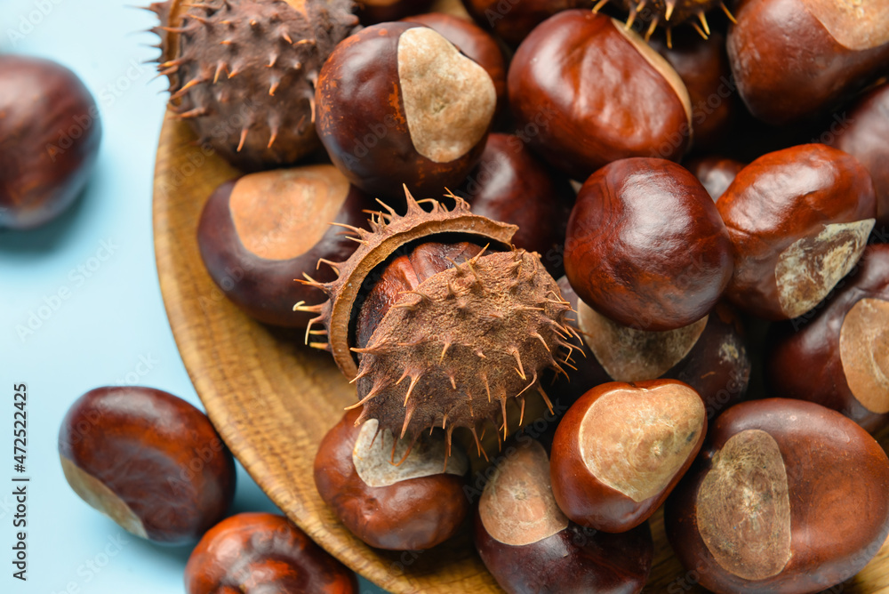 Plate with raw chestnuts on color background, closeup Plate with raw chestnuts on color background, closeup