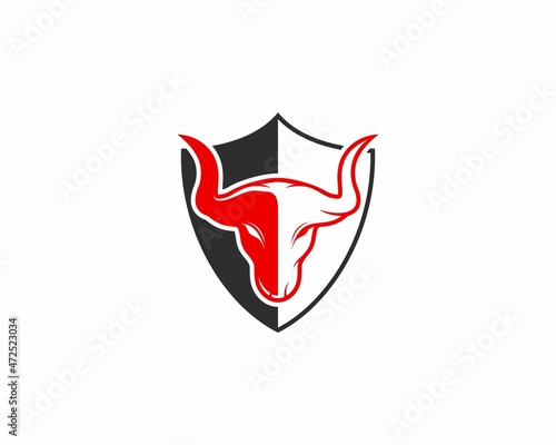 Shield protection with bull head in the middle