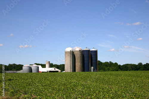 Vegetable/grain farm in rural New Jersey, USA . Outbuildings and silos at the end of the fields. New Jersey is also known as The Garden State.