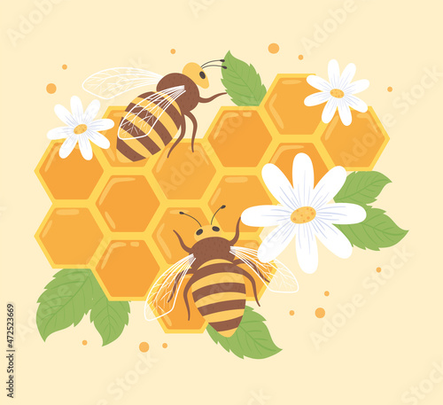 bees and honeycomb