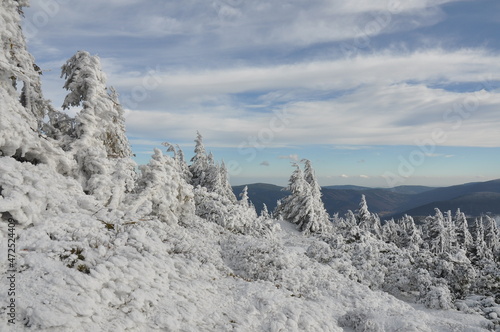 Wallpaper Mural Hiking in Jeseniky Mountains, proper winter conditions Torontodigital.ca