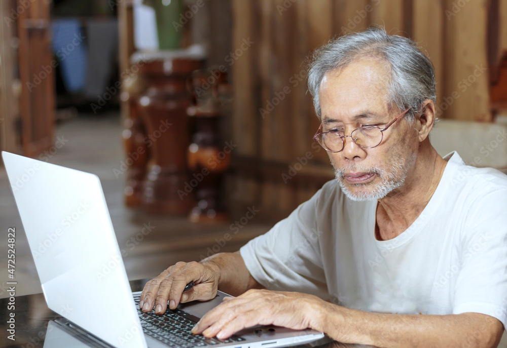 seniors working at home on laptops seniors working at home on laptops