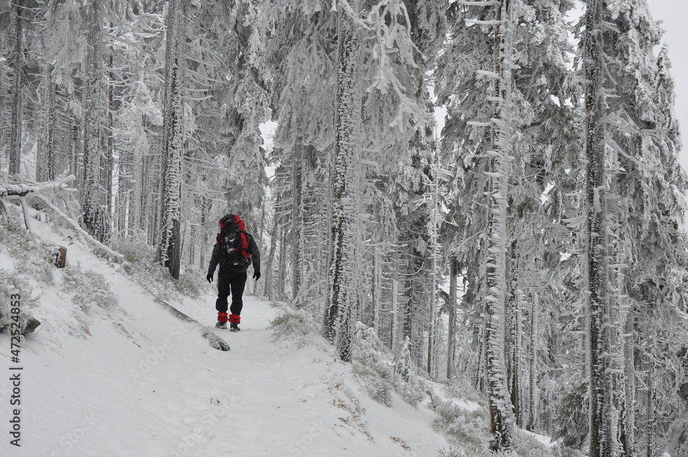 Hiking in Jeseniky Mountains, proper winter conditions