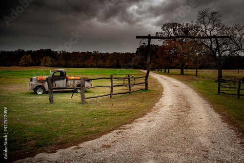Wallpaper Mural Beautiful again  Torontodigital.ca