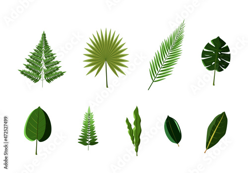 Green Leaf Set Vector Illustration