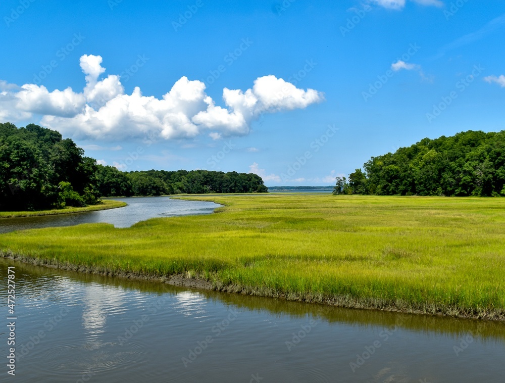 Fototapeta premium Cloudy River