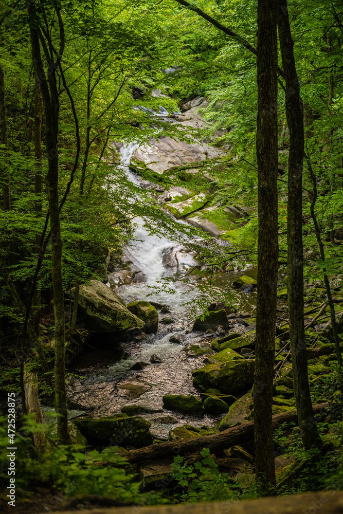 Fototapeta premium White Water Swirls Down Lynn Camp Prong Falls