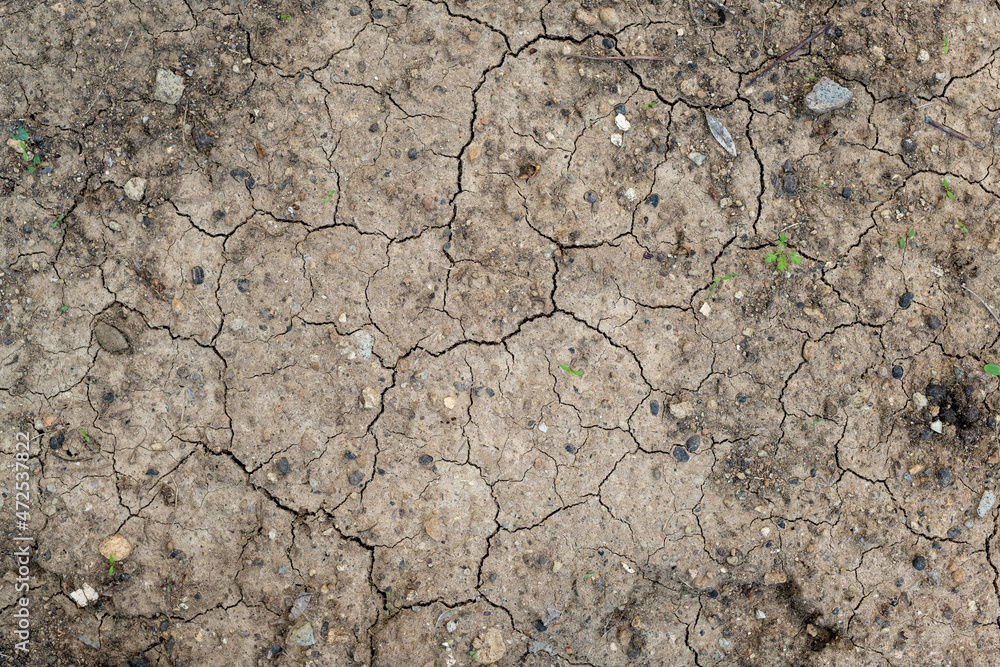 Cracked earth top view with some small seedlings. Dry soil background. Cracked earth top view with some small seedlings. Dry soil background.