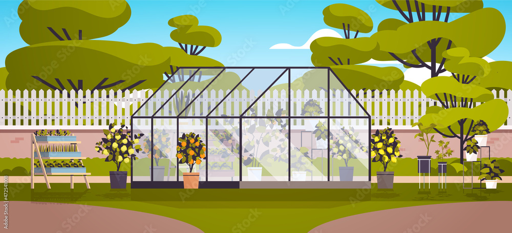 backyard planting greenhouse glass orangery botanical garden with flowers and potted plants - obrazy, fototapety, plakaty 