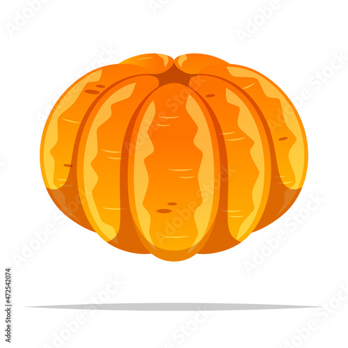 Peeled mandarin orange vector isolated illustration