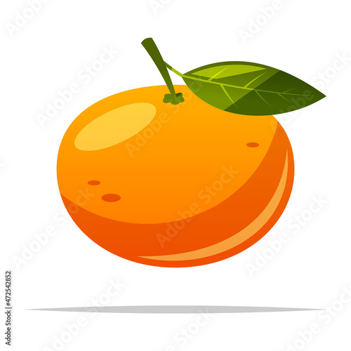 Tangerine or mandarin orange vector isolated illustration