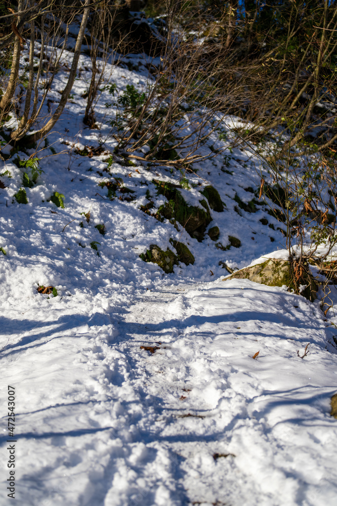 富山県立山町、上市町にある剱岳を見るために雪が積もる冬の中山を登山する風景 A view of climbing a mountain in winter with snow to see Tsurugidake in Tateyama and Kamiichi towns, Toyama Prefecture. 富山県立山町、上市町にある剱岳を見るために雪が積もる冬の中山を登山する風景 A view of climbing a mountain in winter with snow to see Tsurugidake in Tateyama and Kamiichi towns, Toyama Prefecture.