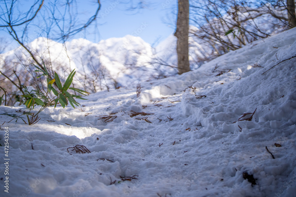 富山県立山町、上市町にある剱岳を見るために雪が積もる冬の中山を登山する風景 A view of climbing a mountain in winter with snow to see Tsurugidake in Tateyama and Kamiichi towns, Toyama Prefecture. 富山県立山町、上市町にある剱岳を見るために雪が積もる冬の中山を登山する風景 A view of climbing a mountain in winter with snow to see Tsurugidake in Tateyama and Kamiichi towns, Toyama Prefecture.
