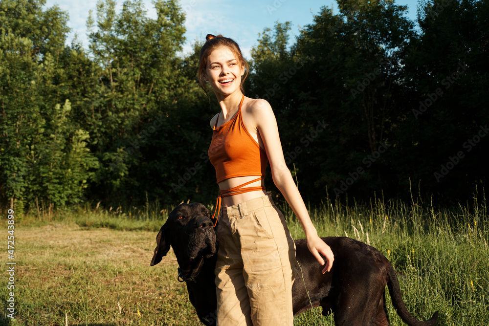 woman in the field in summer playing with a dog friendship