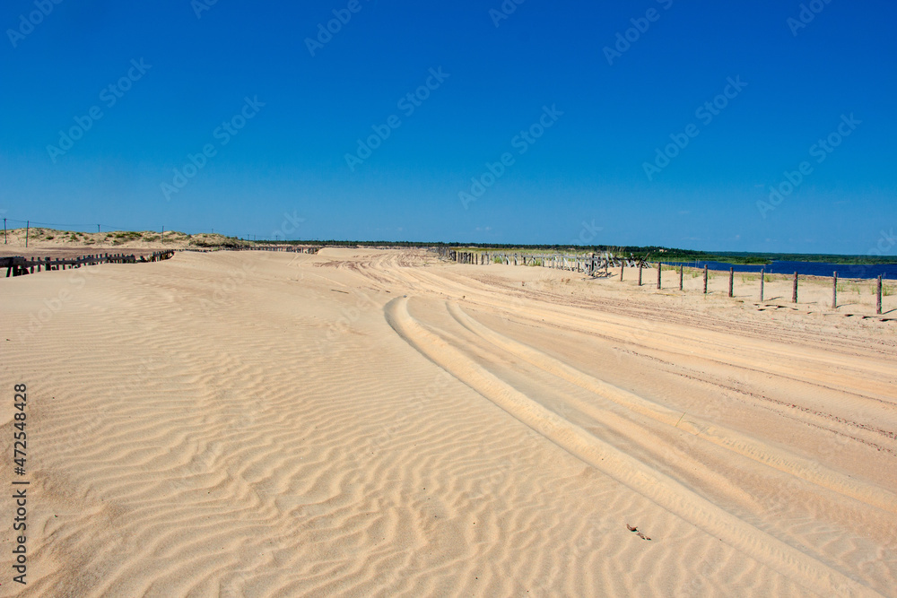 Naklejka premium Sand dunes of the northernmost desert near the Varzuga River in the Murmansk region of Russia