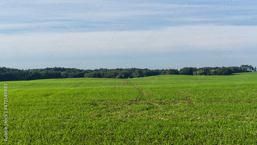 Obraz premium Felder und Wälder in Mecklenburg im Herbst