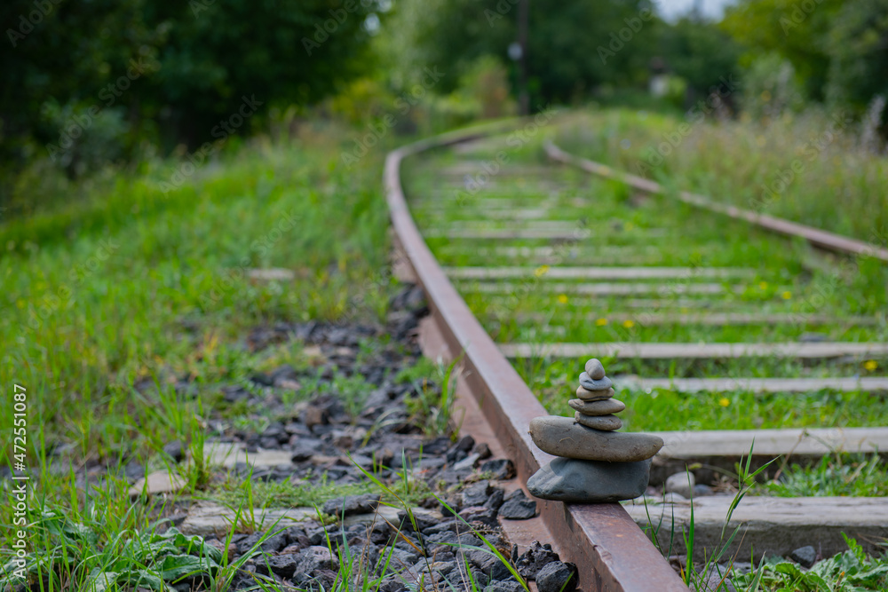 Naklejka premium one railway is overgrown in the grass