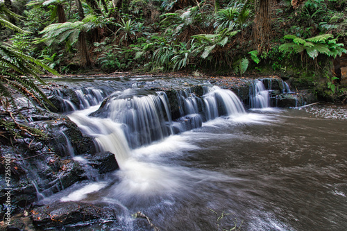 waterfall in the forest
