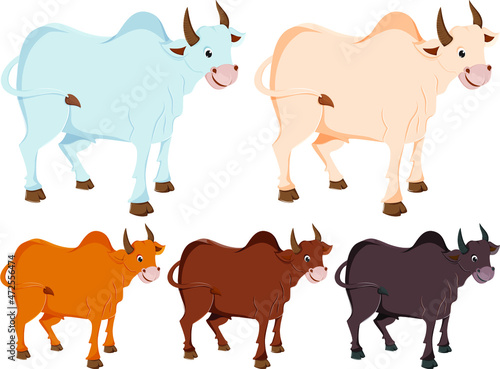Ox Cartoon Five colour set