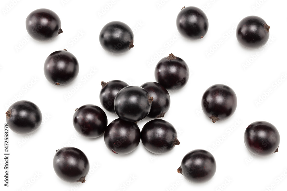 black currant isolated on white background. macro. clipping path. top view black currant isolated on white background. macro. clipping path. top view