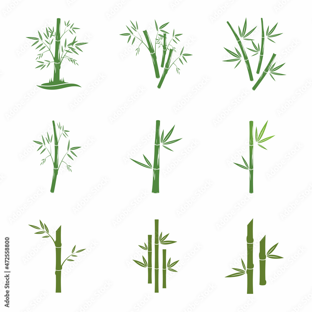 Naklejka premium Bamboo Logo Template vector icon illustration design