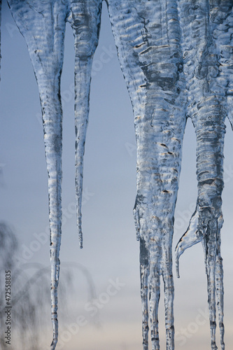 icicles on a branch