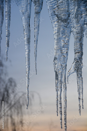 icicles in the winter