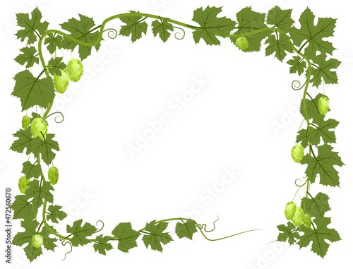 Rectangular Frame with Hops. A branch with dense leaves and cones. Sagging shoots with leaves. Wild nature. Flat style illustration with place for text. Isolated on white. Vector