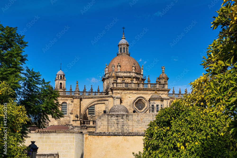 Dome of the Jerez de la Frontera Cathedral San Salvador, Cadiz, Andalusia, Spain