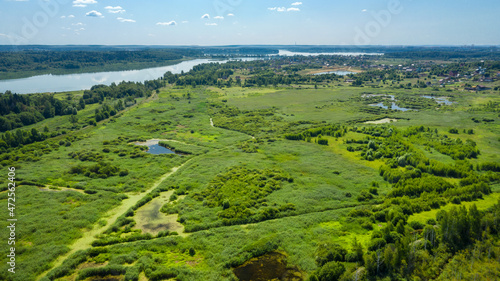 Aerial view of a swamp in a woodland on a summer day © Konstantin